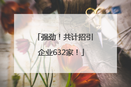 强劲！共计招引企业632家！