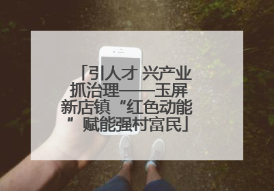 引人才 兴产业 抓治理——玉屏新店镇“红色动能”赋能强村富民