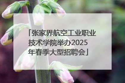 张家界航空工业职业技术学院举办2025年春季大型招聘会