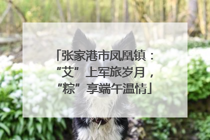 张家港市凤凰镇：“艾”上军旅岁月，“粽”享端午温情