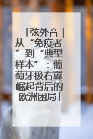 弦外音｜从“免疫者”到“典型样本”：葡萄牙极右翼崛起背后的欧洲困局