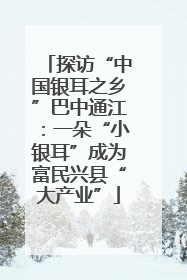 探访“中国银耳之乡”巴中通江：一朵“小银耳”成为富民兴县“大产业”