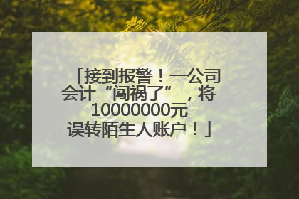 接到报警！一公司会计“闯祸了”，将10000000元误转陌生人账户！