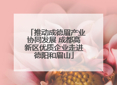 推动成德眉产业协同发展 成都高新区优质企业走进德阳和眉山