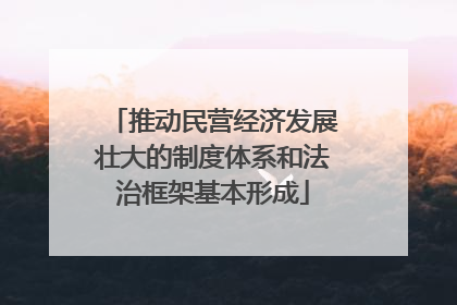 推动民营经济发展壮大的制度体系和法治框架基本形成