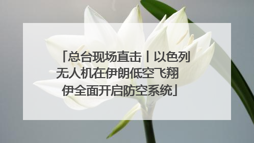 总台现场直击丨以色列无人机在伊朗低空飞翔 伊全面开启防空系统