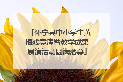 怀宁县中小学生黄梅戏竞演暨教学成果展演活动圆满落幕
