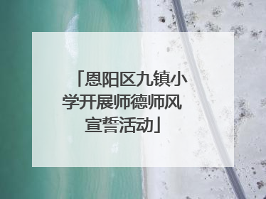 恩阳区九镇小学开展师德师风宣誓活动