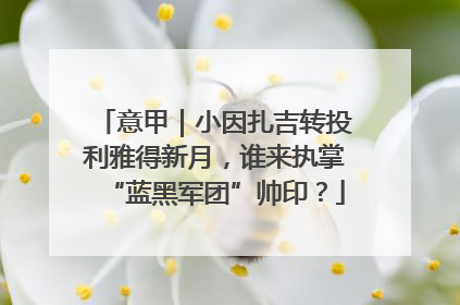 意甲｜小因扎吉转投利雅得新月，谁来执掌“蓝黑军团”帅印？