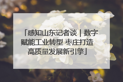 感知山东记者谈｜数字赋能工业转型 枣庄打造高质量发展新引擎