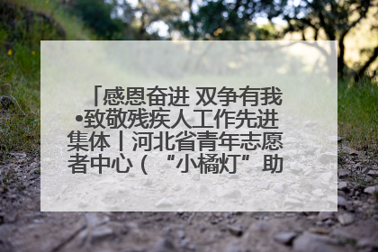 感恩奋进 双争有我•致敬残疾人工作先进集体丨河北省青年志愿者中心（“小橘灯”助残接力计划实施团队）：用温暖陪伴，守护特殊孩子成长
