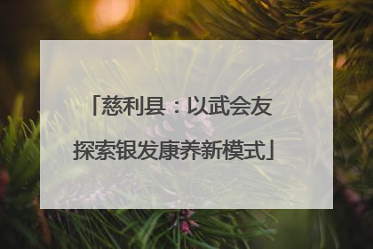 慈利县：以武会友 探索银发康养新模式