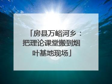 房县万峪河乡：把理论课堂搬到烟叶基地现场