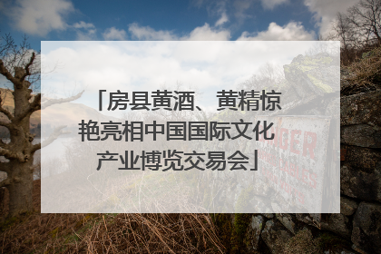 房县黄酒、黄精惊艳亮相中国国际文化产业博览交易会