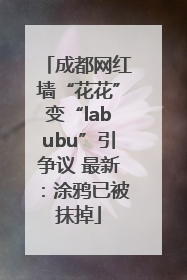 成都网红墙“花花”变“labubu”引争议 最新：涂鸦已被抹掉