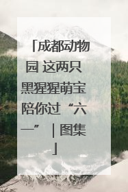 成都动物园 这两只黑猩猩萌宝陪你过“六一”｜图集