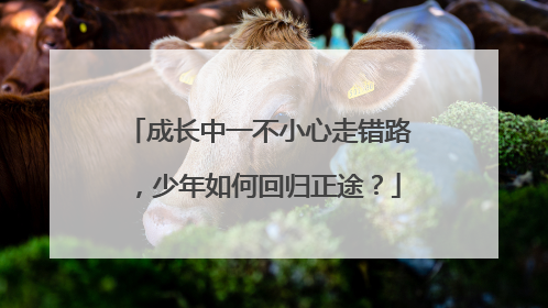 成长中一不小心走错路，少年如何回归正途？