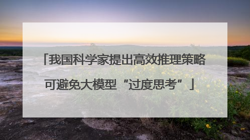 我国科学家提出高效推理策略 可避免大模型“过度思考”
