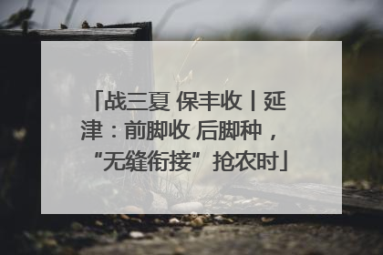 战三夏 保丰收丨延津：前脚收 后脚种，“无缝衔接”抢农时
