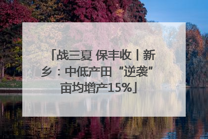 战三夏 保丰收丨新乡：中低产田“逆袭” 亩均增产15%
