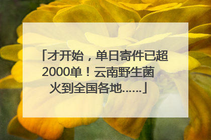 才开始，单日寄件已超2000单！云南野生菌火到全国各地……