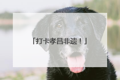 打卡孝昌非遗！