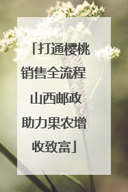 打通樱桃销售全流程 山西邮政助力果农增收致富