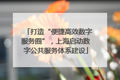 打造“便捷高效数字服务圈”，上海启动数字公共服务体系建设