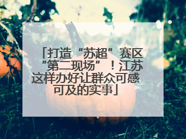 打造“苏超”赛区“第二现场”！江苏这样办好让群众可感可及的实事