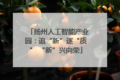 扬州人工智能产业园：追“新”逐“质” “新”兴向荣