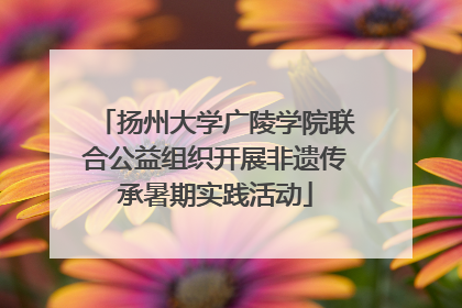 扬州大学广陵学院联合公益组织开展非遗传承暑期实践活动
