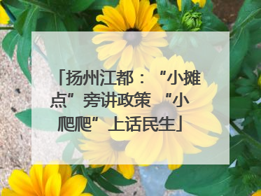 扬州江都：“小摊点”旁讲政策 “小爬爬”上话民生