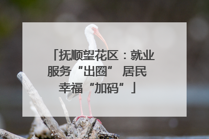 抚顺望花区：就业服务“出圈” 居民幸福“加码”