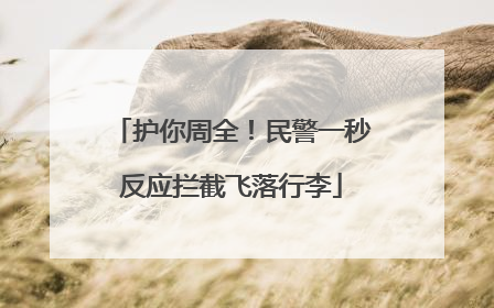 护你周全！民警一秒反应拦截飞落行李