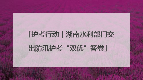 护考行动｜湖南水利部门交出防汛护考“双优”答卷