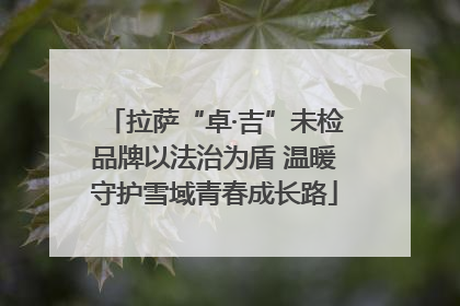 拉萨“卓·吉”未检品牌以法治为盾 温暖守护雪域青春成长路