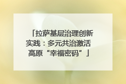 拉萨基层治理创新实践：多元共治激活高原“幸福密码”