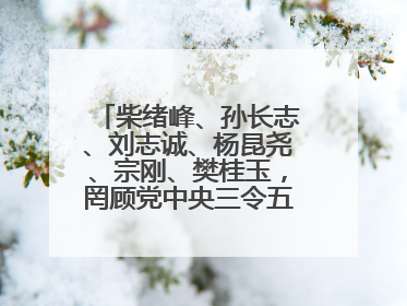 柴绪峰、孙长志、刘志诚、杨昆尧、宗刚、樊桂玉，罔顾党中央三令五申，不知敬畏、我行我素、肆意妄为！