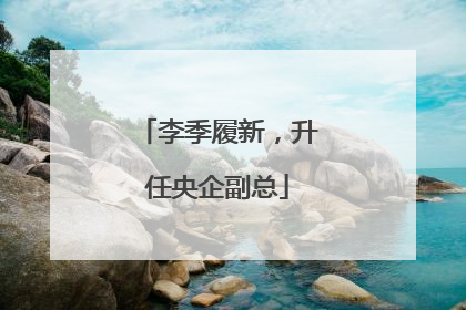 李季履新，升任央企副总
