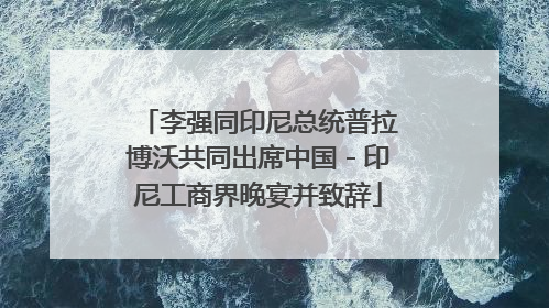 李强同印尼总统普拉博沃共同出席中国－印尼工商界晚宴并致辞