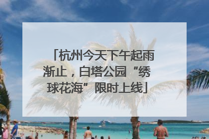 杭州今天下午起雨渐止，白塔公园“绣球花海”限时上线