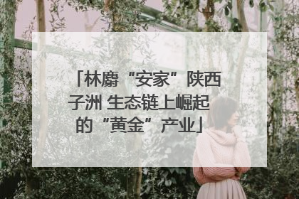 林麝“安家”陕西子洲 生态链上崛起的“黄金”产业