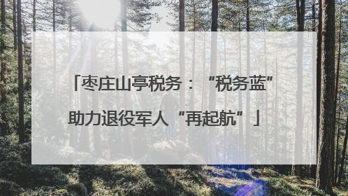 枣庄山亭税务：“税务蓝”助力退役军人“再起航”