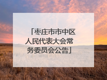 枣庄市市中区人民代表大会常务委员会公告