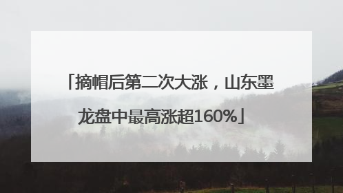 摘帽后第二次大涨，山东墨龙盘中最高涨超160%