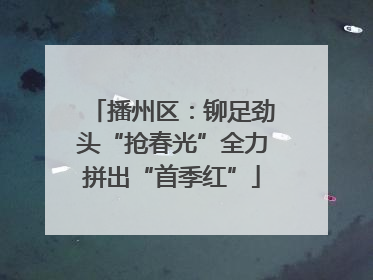播州区：铆足劲头“抢春光”全力拼出“首季红”