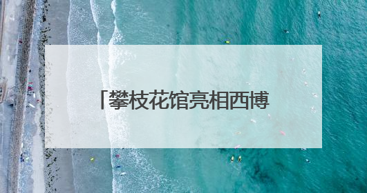 攀枝花馆亮相西博会！“豹局长”带你体验“暖暖花城”独特魅力｜西博视界