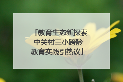 教育生态新探索 中关村三小跨龄教育实践引热议
