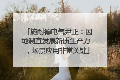 施耐德电气尹正：因地制宜发展新质生产力，场景应用非常关键