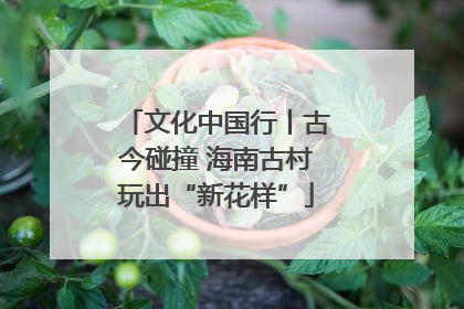 文化中国行丨古今碰撞 海南古村玩出“新花样”